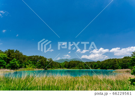 初夏の五色沼自然探勝路の風景　弁天沼と西吾妻山　福島県北塩原村 66229561