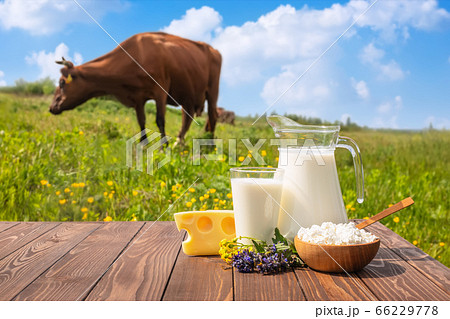 milk in glass jug 66229778