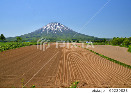 初夏の北海道倶知安町で残雪の羊蹄山と畑を耕している風景を撮影の写真素材