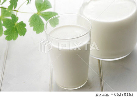 グラスとピッチャーに入った牛乳 グラスとピッチャーに入った牛乳 66230162