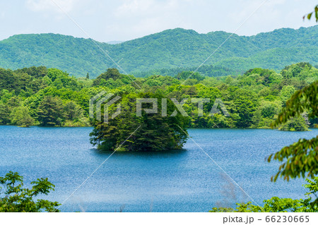 初夏の磐梯吾妻レークラインの風景　小野川湖の島　福島県北塩原村 66230665