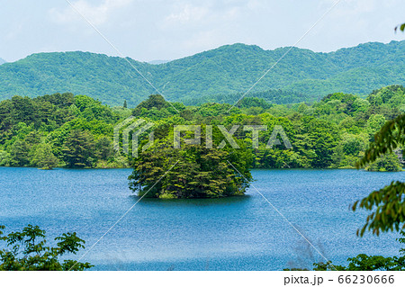 初夏の磐梯吾妻レークラインの風景　小野川湖の島　福島県北塩原村 66230666