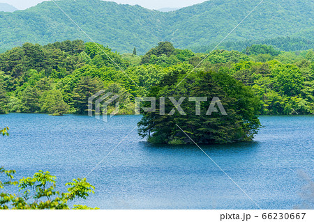 初夏の磐梯吾妻レークラインの風景 小野川湖の島 福島県北塩原村 初夏の磐梯吾妻レークラインの風景 小野川湖の島 福島県北塩原村 66230667