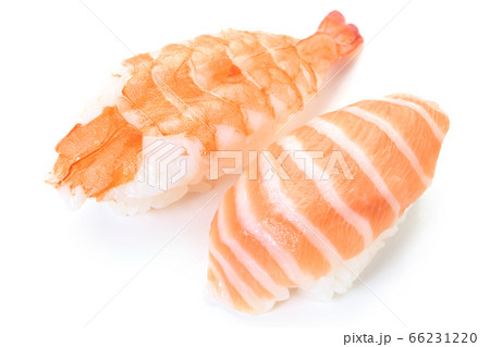 握り寿司　サーモン　海老 66231220
