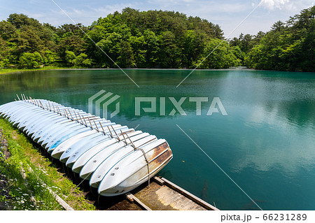 初夏の毘沙門沼（五色沼）の風景　新緑と湖面　福島県北塩原村 66231289