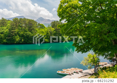 初夏の毘沙門沼(五色沼)の風景 新緑と湖面 福島県北塩原村 初夏の毘沙門沼(五色沼)の風景 新緑と湖面 福島県北塩原村 66231292