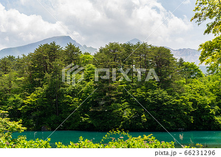 初夏の毘沙門沼(五色沼)の風景 新緑と湖面 福島県北塩原村 初夏の毘沙門沼(五色沼)の風景 新緑と湖面 福島県北塩原村 66231296