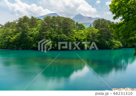 初夏の毘沙門沼(五色沼)の風景 新緑と湖面 福島県北塩原村 初夏の毘沙門沼(五色沼)の風景 新緑と湖面 福島県北塩原村 66231310