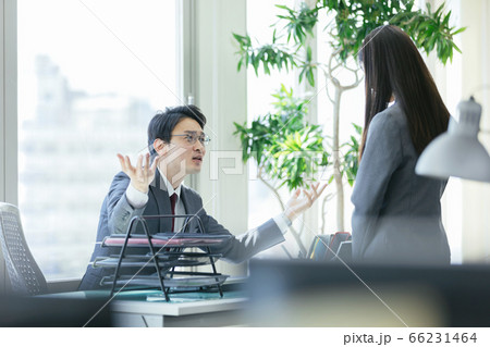 指導するビジネスマン 66231464