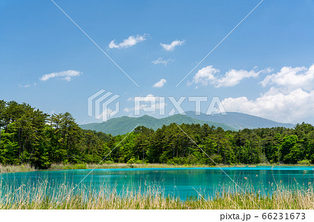 初夏の五色沼自然探勝路の風景　弁天沼と西吾妻山　福島県北塩原村 66231673