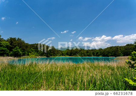 初夏の五色沼自然探勝路の風景 弁天沼と西吾妻山 福島県北塩原村 初夏の五色沼自然探勝路の風景 弁天沼と西吾妻山 福島県北塩原村 66231678
