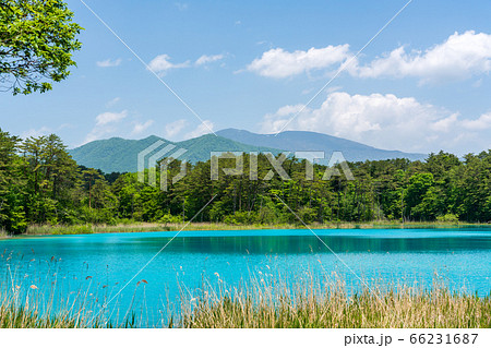 初夏の五色沼自然探勝路の風景 弁天沼と西吾妻山 福島県北塩原村 初夏の五色沼自然探勝路の風景 弁天沼と西吾妻山 福島県北塩原村 66231687