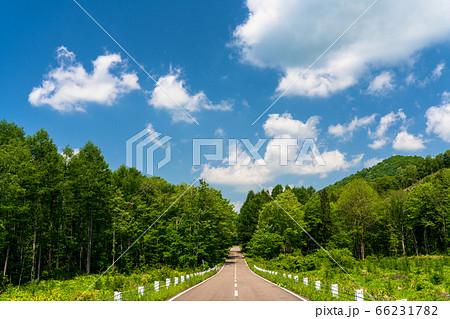 初夏の磐梯吾妻レークラインの風景　青空と直線道路　福島県猪苗代町 66231782