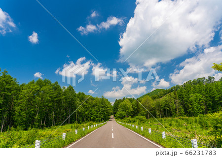 初夏の磐梯吾妻レークラインの風景　青空と直線道路　福島県猪苗代町 66231783