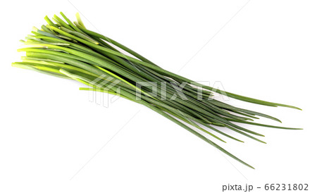Green onion isolated on the white background Green onion isolated on the white background 66231802