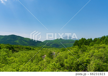 初夏の磐梯吾妻レークラインの風景　新緑の森と磐梯山　福島県猪苗代町 66231923
