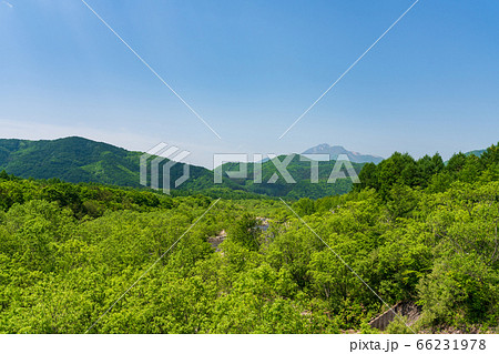 初夏の磐梯吾妻レークラインの風景　新緑の森と磐梯山　福島県猪苗代町 66231978