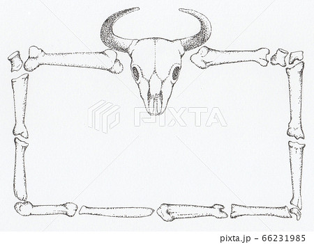 牛の骨の飾り枠のイラスト素材