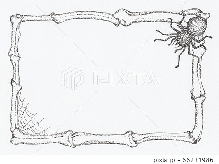 蜘蛛と骨の飾り枠のイラスト素材