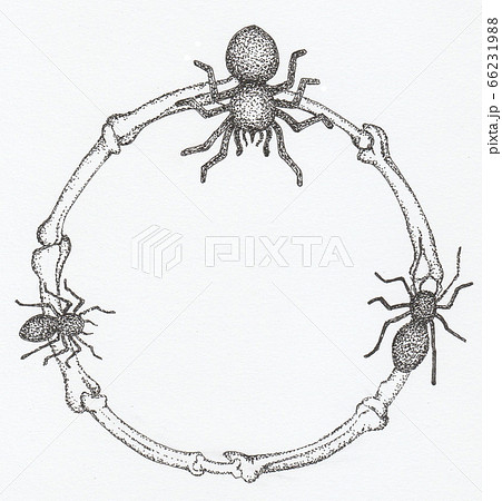 蜘蛛と骨のリース 飾り枠のイラスト素材