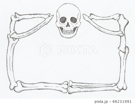 手描きのドクロと骨のフレームのイラスト素材