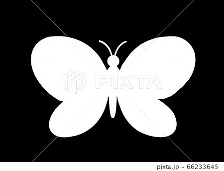 蝶アイコン シルエット 白黒のイラスト素材
