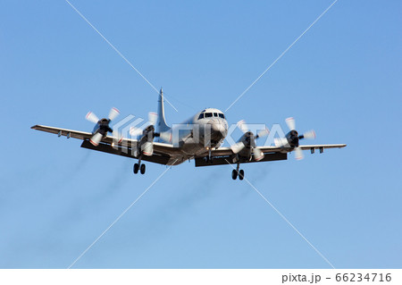 海上自衛隊 P-3C哨戒機の着陸（神奈川県綾瀬市） 66234716