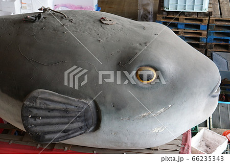 唐戸市場 66235343