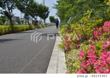 植栽のある町並み(流山おおたかの森) 植栽のある町並み(流山おおたかの森) 66235465