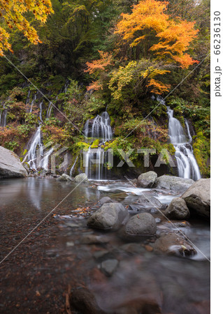 【2019年】山梨県北杜市・秋の吐竜の滝 66236130