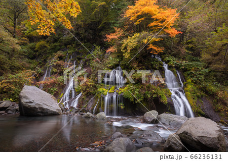 【2019年】山梨県北杜市・秋の吐竜の滝 66236131