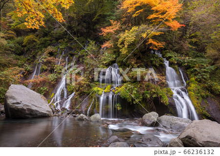 【2019年】山梨県北杜市・秋の吐竜の滝 66236132