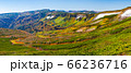 パノラマ 大雪高原 66236716
