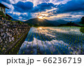 天空の田んぼ 66236719