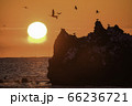 朝の乱舞 66236721