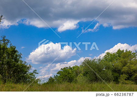 Feather white cloud in the blue sky Feather white cloud in the blue sky 66236787