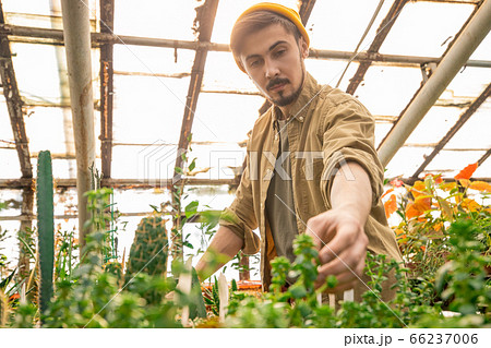 Examining leaves of plants Examining leaves of plants 66237006