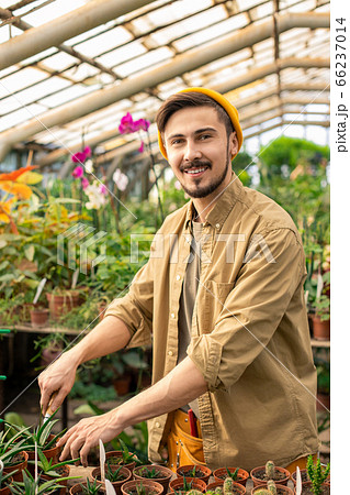 Planting garden in greenhouse Planting garden in greenhouse 66237014
