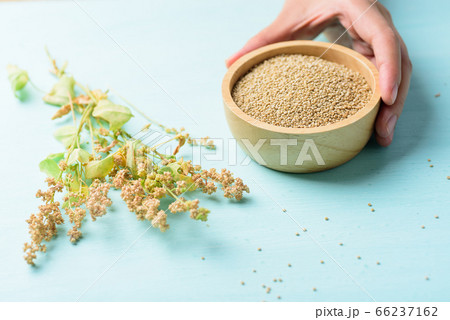 Raw brown quinoa seed in bowl holding by hand, Healthy food 66237162