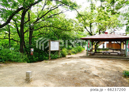 鐘撞堂山　山頂　 66237200