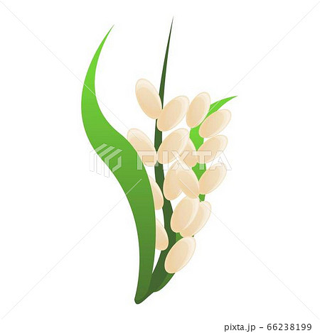 Rice plant icon, cartoon style 66238199