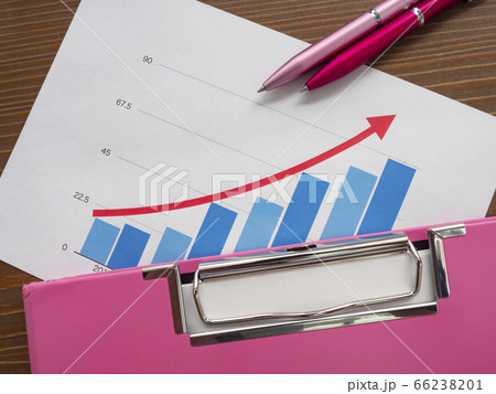 ビジネスイメージ・グラフ・バインダー・書類・女性 66238201