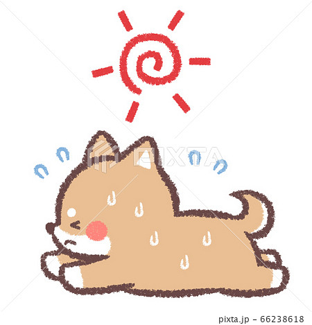 太陽と熱中症柴犬のイラスト素材