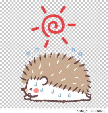 Sun and heat stroke hedgehog 2 66238630