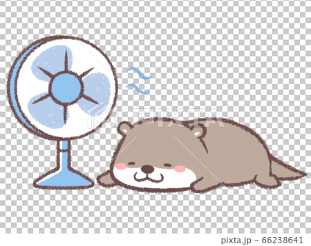 扇風機にあたるカワウソ 66238641