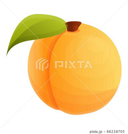 Ripe apricot icon, cartoon style 66238705