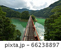 アプト式鐡道 奥大井湖上駅のつり橋 66238897
