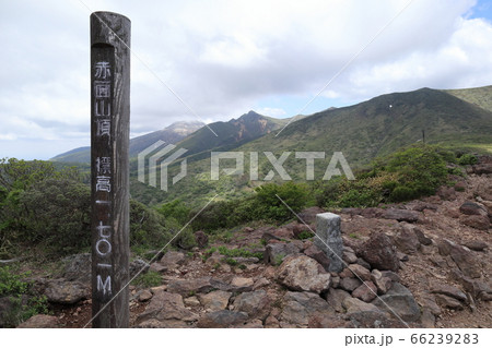 赤面山 山頂から望む茶臼岳・朝日岳(6月) 赤面山 山頂から望む茶臼岳・朝日岳(6月) 66239283