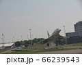 コンコルド 66239543