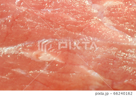 生肉のクローズアップ 66240162